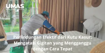 Perlindungan Efektif dari Kutu Kasur Mengatasi Gigitan yang Mengganggu dengan Cara Tepat