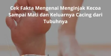 Jasa Pest Control Menteng Cek Fakta Mengenai Menginjak Kecoa Sampai Mati dan Keluarnya Cacing dari Tubuhnya