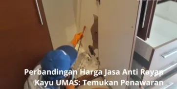 Perbandingan Harga Jasa Anti Rayap Kayu UMAS Temukan Penawaran Terbaik di Pasaran