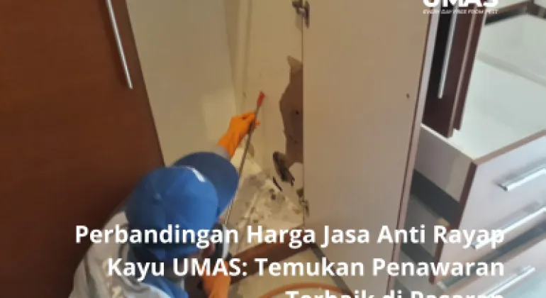 Perbandingan Harga Jasa Anti Rayap Kayu UMAS: Temukan Penawaran Terbaik di Pasaran