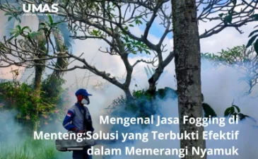 ~blog/2023/6/9/mengenal jasa fogging di mentengsolusi yang terbukti efektif dalam memerangi nyamuk