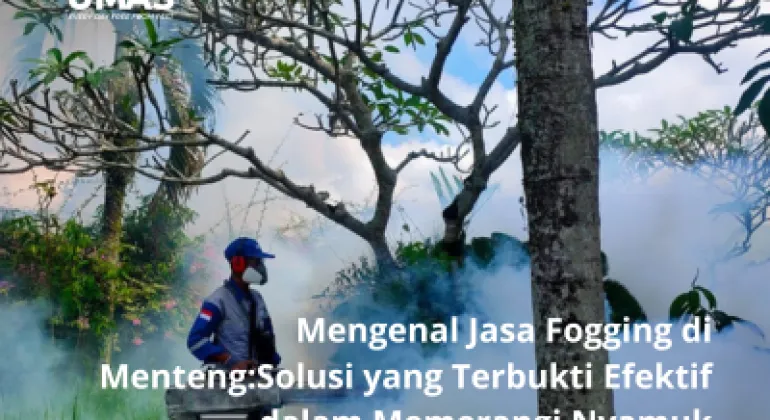 Mengenal Jasa Fogging di Menteng:Solusi yang Terbukti Efektif dalam Memerangi Nyamuk