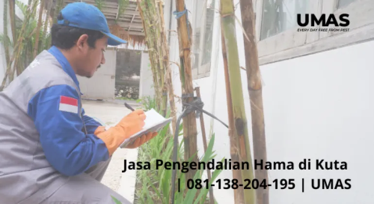 Jasa Pengendalian Hama di Kuta | 081-138-204-195 | UMAS