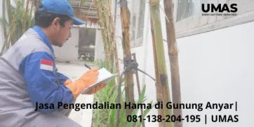 Jasa Pengendalian Hama di Gunung Anyar  081138204195  UMAS