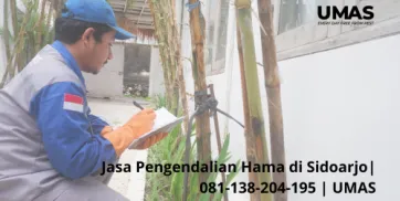 Jasa Pengendalian Hama di Sidoarjo  081138204195  UMAS