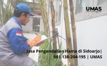 ~blog/2023/7/11/jasa pengendalian hama di sidoarjo 081 138 204 195 umas