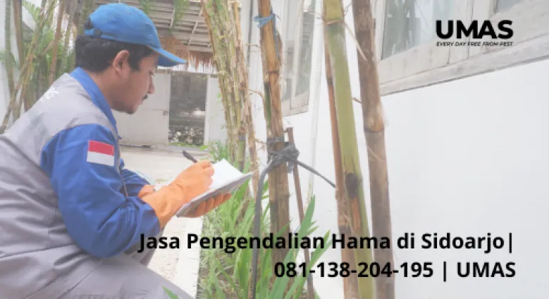 Jasa Pengendalian Hama di Sidoarjo | 081-138-204-195 | UMAS