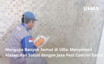 ~blog/2023/7/12/mengapa banyak semut di villa menyelami alasan dan solusi dengan jasa pest control sanur