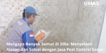 Mengapa Banyak Semut di Villa Menyelami Alasan dan Solusi dengan Jasa Pest Control Sanur