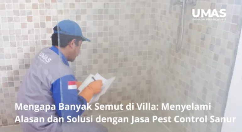 Mengapa Banyak Semut di Villa: Menyelami Alasan dan Solusi dengan Jasa Pest Control Sanur