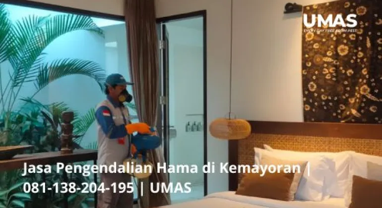 Jasa Pengendalian Hama di Kemayoran | 081-138-204-195 | UMAS