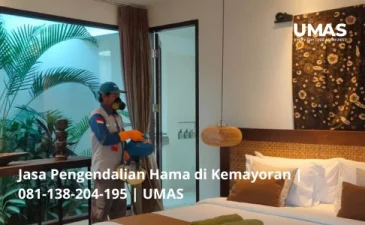 ~blog/2023/7/13/jasa pengendalian hama di kemayoran 081 138 204 195 umas