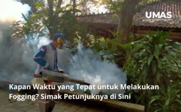 ~blog/2023/7/13/kapan waktu yang tepat untuk melakukan fogging simak petunjuknya di sini
