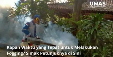 Kapan Waktu yang Tepat untuk Melakukan Fogging Simak Petunjuknya di Sini