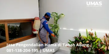 Jasa Pengendalian Hama di Tanah Abang  081138204195  UMAS