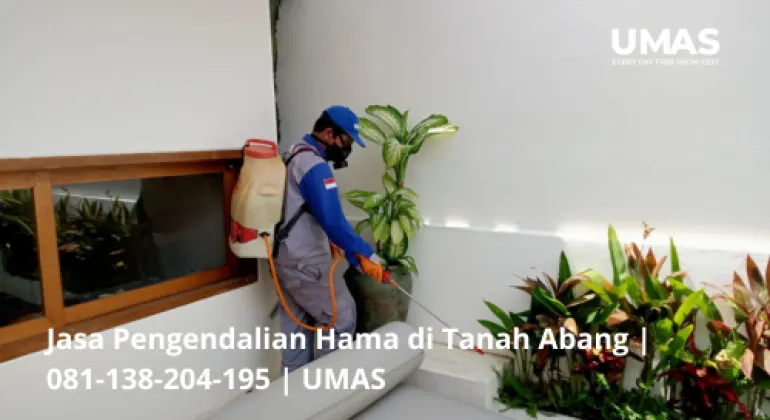 Jasa Pengendalian Hama di Tanah Abang | 081-138-204-195 | UMAS