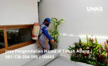 ~blog/2023/7/14/jasa pengendalian hama di tanah abang 081 138 204 195 umas