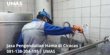 Jasa Pengendalian Hama di Ciracas  081138204195  UMAS