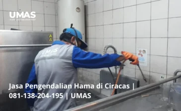 ~blog/2023/7/15/jasa pengendalian hama di ciracas 081 138 204 195 umas