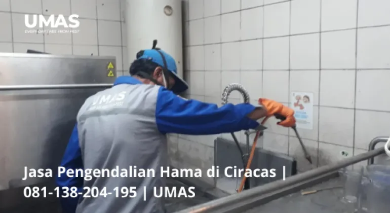 Jasa Pengendalian Hama di Ciracas | 081-138-204-195 | UMAS