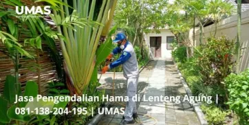 Jasa Pengendalian Hama di Lenteng Agung  081138204195  UMAS