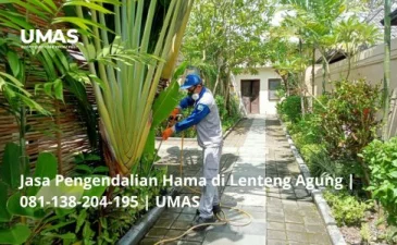 ~blog/2023/7/17/jasa pengendalian hama di lenteng agung 081 138 204 195 umas