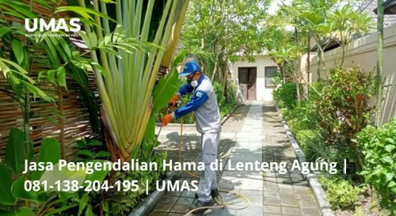 Jasa Pengendalian Hama di Lenteng Agung | 081-138-204-195 | UMAS