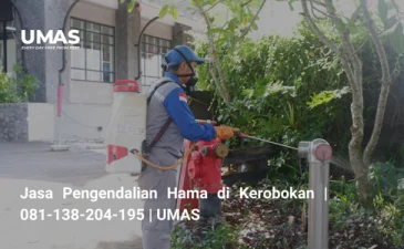 ~blog/2023/7/18/jasa pengendalian hama di kerobokan 081 138 204 195 umas