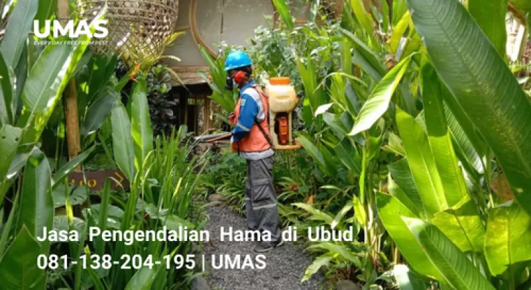 Jasa Pengendalian Hama di Ubud | 081-138-204-195 | UMAS