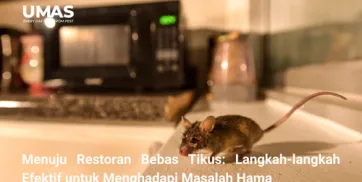 Menuju Restoran Bebas Tikus Langkahlangkah Efektif untuk Menghadapi Masalah Hama