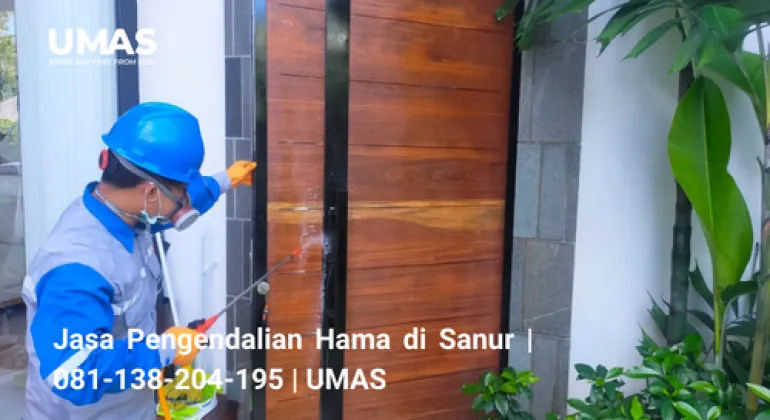 Jasa Pengendalian Hama di Sanur | 081-138-204-195 | UMAS