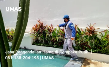 ~blog/2023/7/21/jasa pengendalian hama di cempaka putih 081 138 204 195 umas