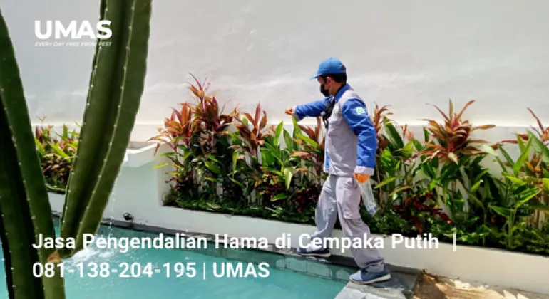 Jasa Pengendalian Hama di Cempaka Putih  | 081-138-204-195 | UMAS