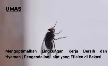 ~blog/2023/7/24/mengoptimalkan lingkungan kerja bersih dan nyaman pengendalian lalat yang efisien di bekasi
