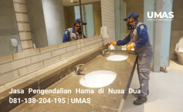 ~blog/2023/7/25/jasa pengendalian hama di nusa dua 081 138 204 195 umas