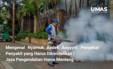 ~blog/2023/7/25/mengenal nyamuk aedes aegypti penyebar penyakit yang harus dikendalikan jasa pengendalian hama menteng