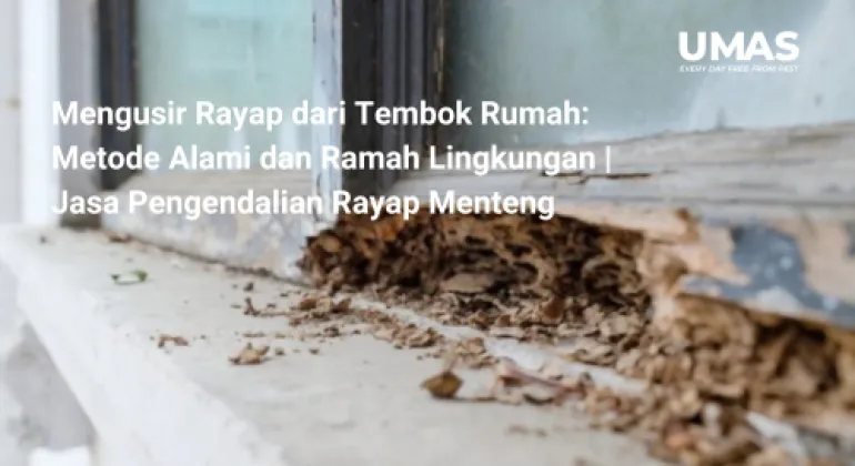 Mengusir Rayap dari Tembok Rumah: Metode Alami dan Ramah Lingkungan | Jasa Pengendalian Rayap Menteng