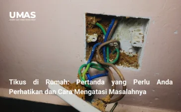 ~blog/2023/7/27/stop kontak bebas semut rahasia menghilangkan suara berisik dan pasir mengganggu jasa pengendalian hama tumbaksari