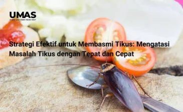 ~blog/2023/7/29/menghadapi masalah kecoa di restoran simak fakta fakta penting dan solusi dari jasa pengendalian hama di pademangan