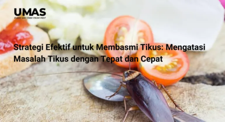 Menghadapi Masalah Kecoa di Restoran? Simak Fakta-Fakta Penting dan Solusi dari Jasa Pengendalian Hama di Pademangan