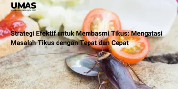 Menghadapi Masalah Kecoa di Restoran Simak FaktaFakta Penting dan Solusi dari Jasa Pengendalian Hama di Pademangan