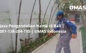 ~blog/2023/7/3/jasa pengendalian hama di bali 081 138 204 195 umas indonesia