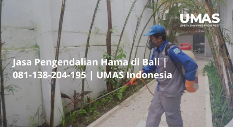 Jasa Pengendalian Hama di Bali | 081-138-204-195 | UMAS Indonesia