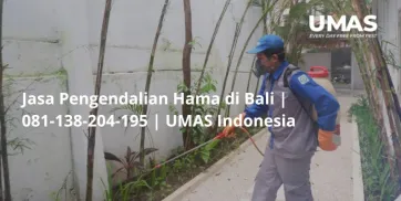 Jasa Pengendalian Hama di Bali  081138204195  UMAS Indonesia