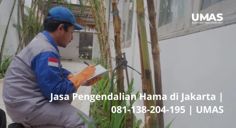 Jasa Pengendalian Hama di Jakarta | 081-138-204-195 | UMAS