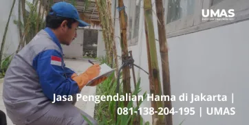 Jasa Pengendalian Hama di Jakarta  081138204195  UMAS