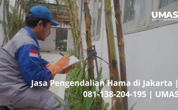 Jasa Pengendalian Hama di Jakarta  081138204195  UMAS