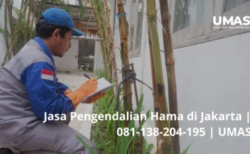 ~blog/2023/7/6/jasa pengendalian hama di jakarta 081 138 204 195 umas
