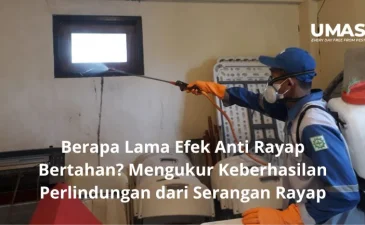 ~blog/2023/7/7/berapa lama efek anti rayap bertahan mengukur keberhasilan perlindungan dari serangan rayap
