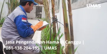 Jasa Pengendalian Hama di Canggu  081138204195  UMAS